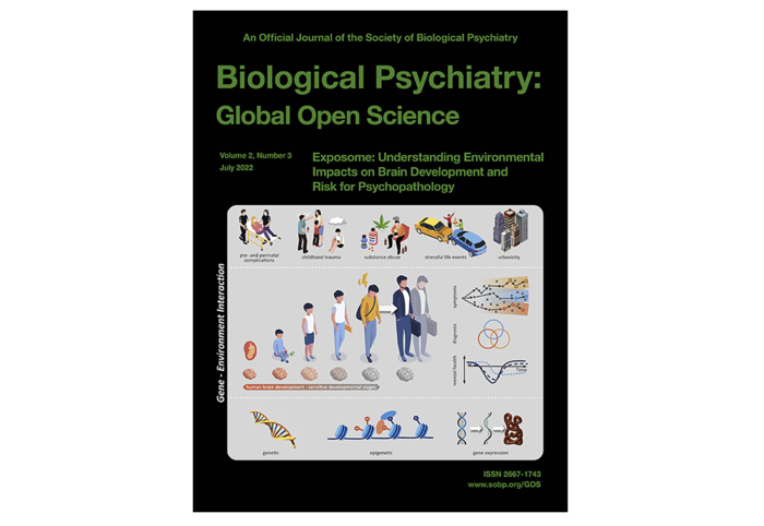 A Unifying Model of Environmental Influences on Brain Development ...